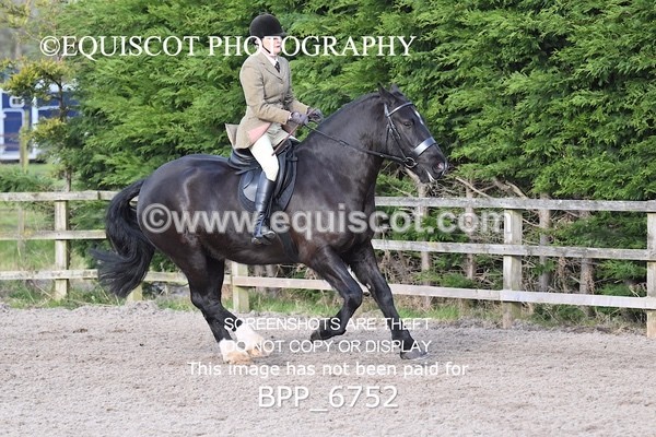 BPP_6752 - RING 1  (RIDDEN HORSES / IN HAND / VETERAN ETC)