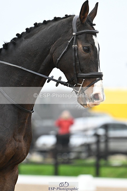 241103-100111-00254 - Intro 3 - 9.40 to 10.40