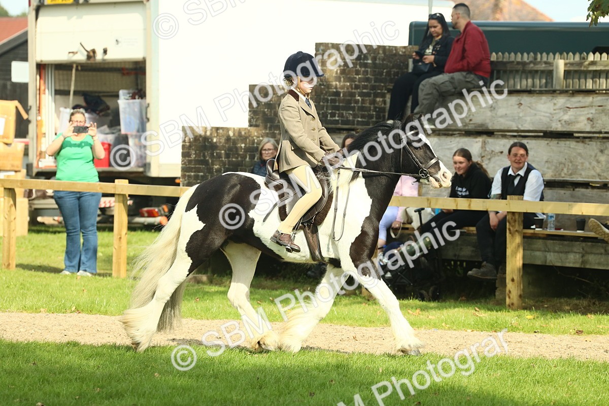 SBM_68901 - S58 - Mini Show Cob Ridden