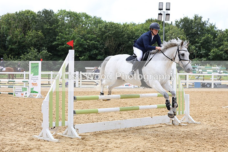 3E7A0108 - Class 9: Senior British Novice/90cm open