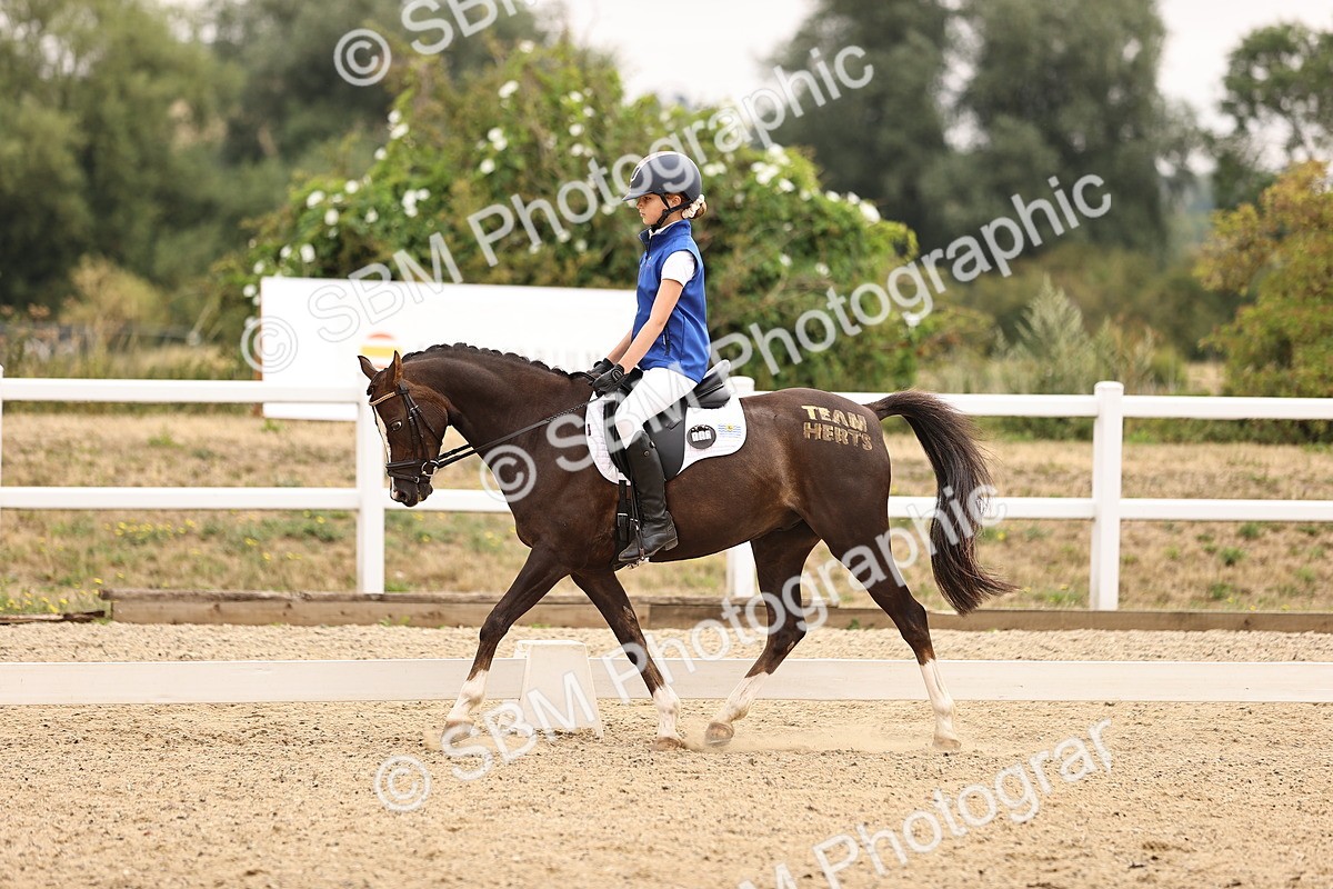 SBM_006403 - Intro 3 - 9.46-10.46