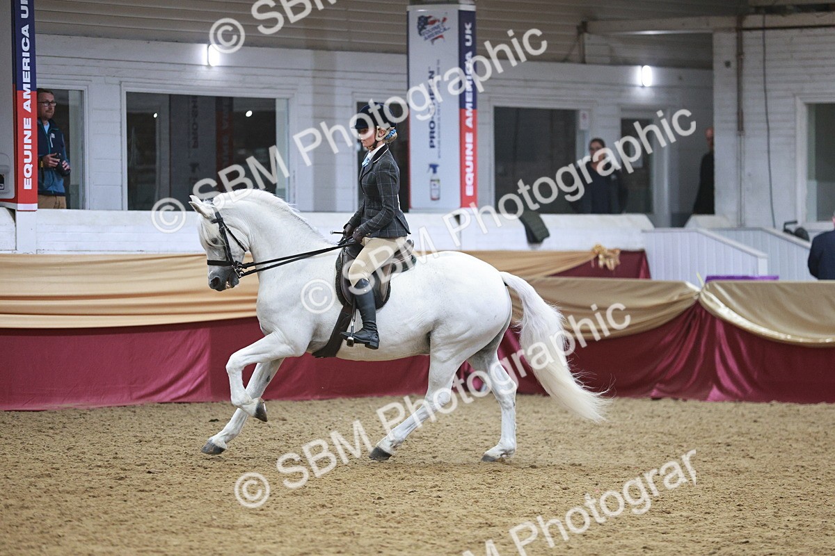 SBM_08899 - Class 12R - Regional Ridden Pre-Vet