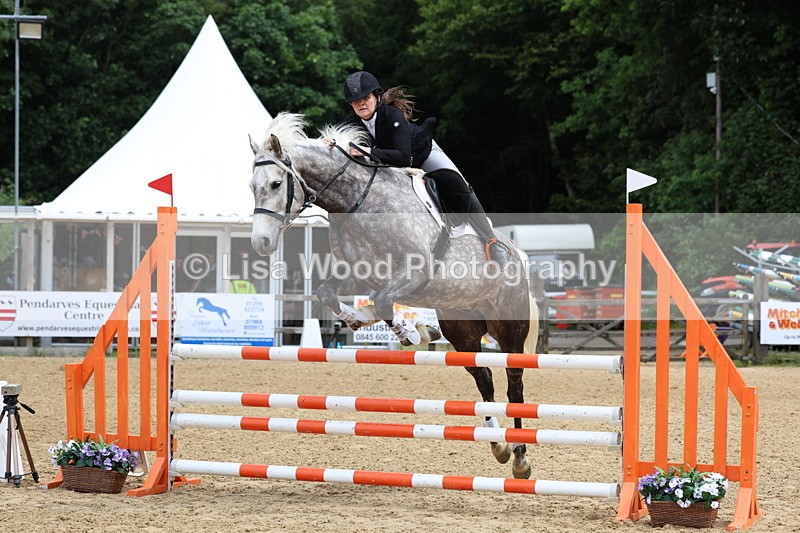 3E7A6109 - Class 4: Senior British Novice/90cm open
