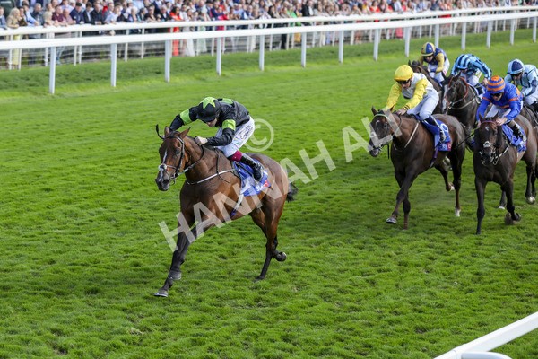 240824-Race 4-Magical Zoe-9138 - Race 4 3.35pm Sky Bet Ebor Handicap