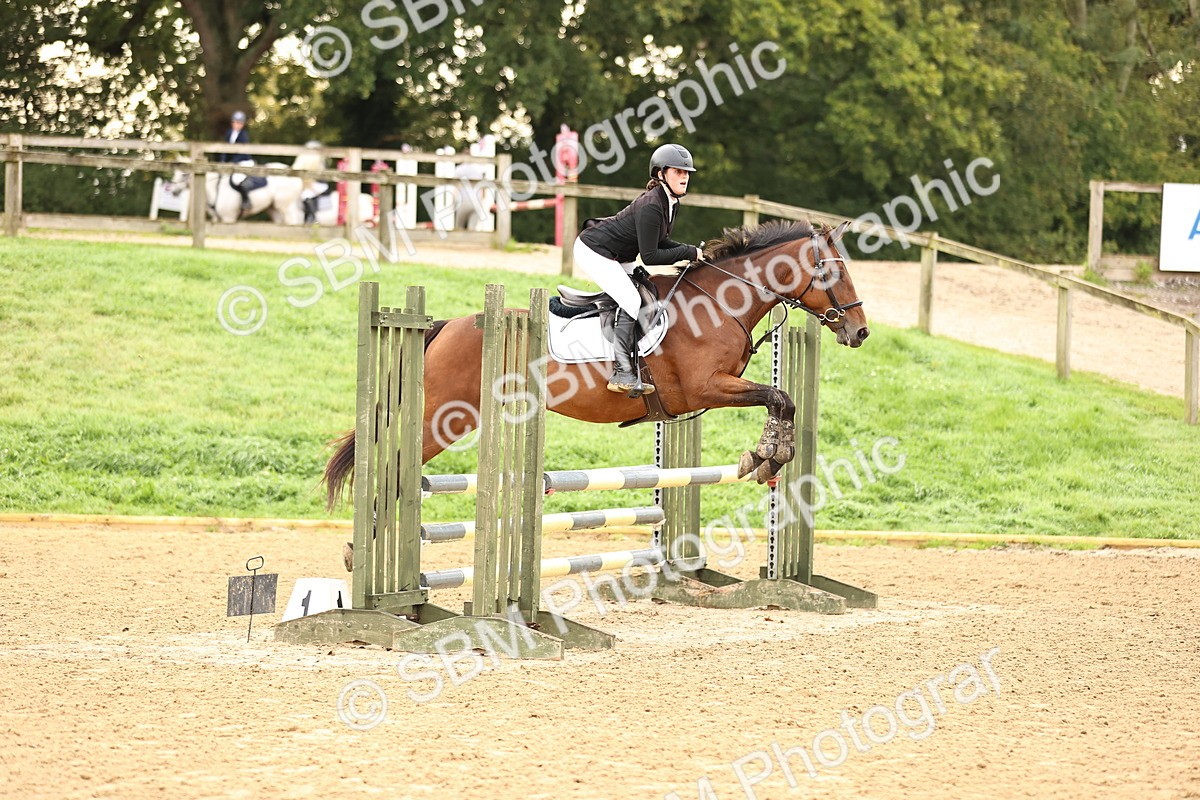 SBM_58307 - J41 - Grand Tour Horse & Pony 95cm