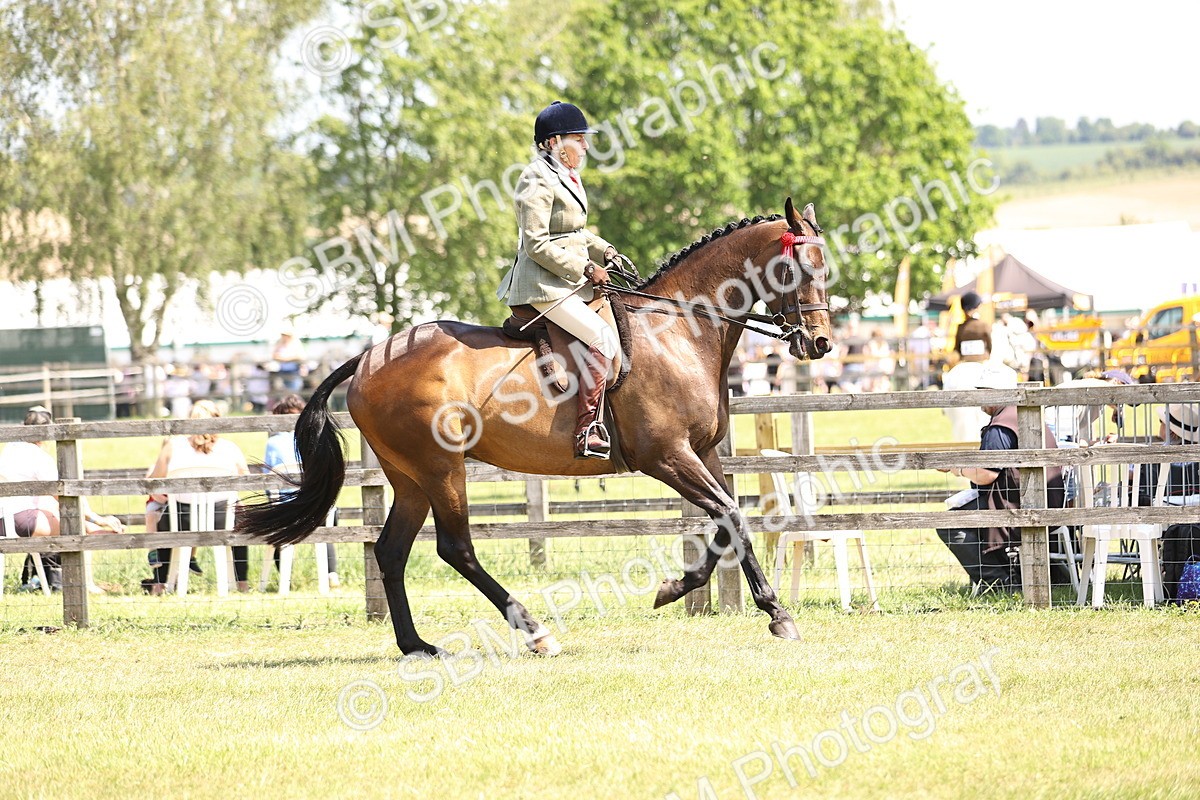 SBM_14882 - Class 78 - LIHS BSHA Open Racehorse & Show Horse