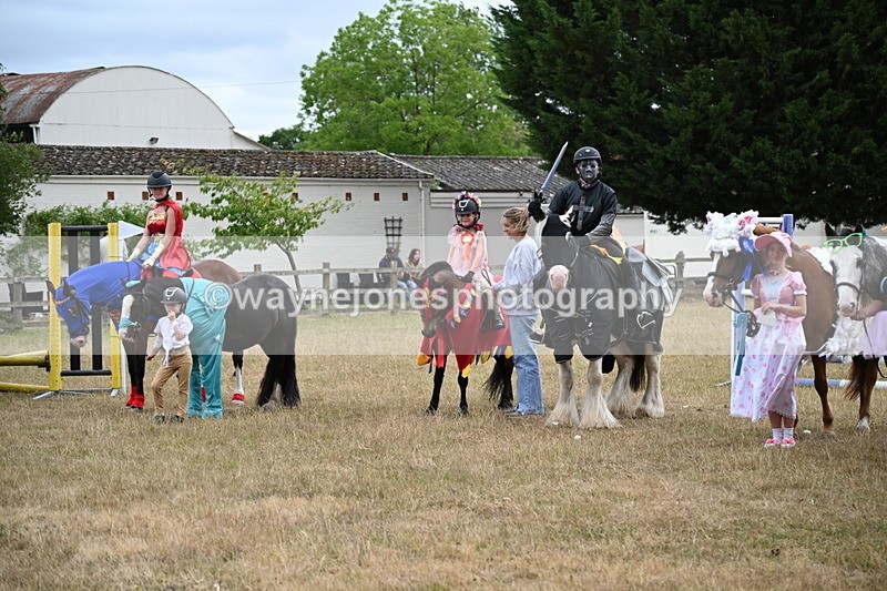 WJ6_9220 - Class 11 Fancy Dress