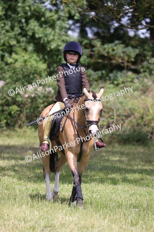 20260614-1917 - Class 21 - Novice Working Hunter Pony
