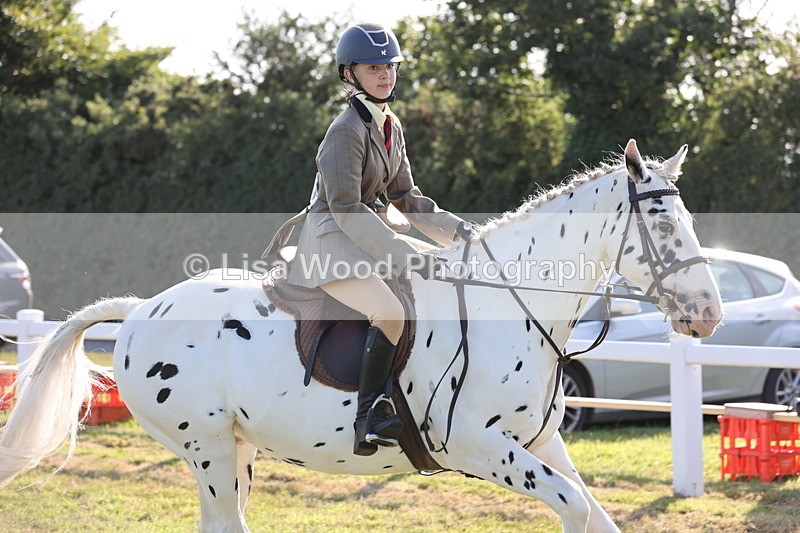 JPP_3168 - Class 21: Working Hunter 80cm