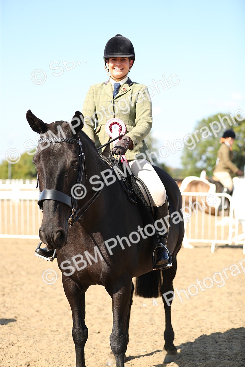SBM_02394 - Class 43 Ridden Competition Horse/Pony