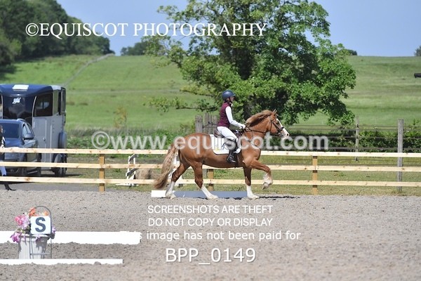 BPP_0149 - SHORT ARENA  MY QUEST PRELIM