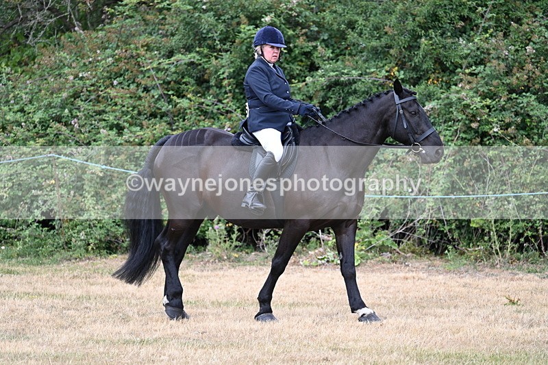 WJ7_0816 - Class 3 Family Mount