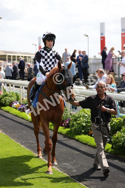 yr10062022r2-8 - Race 2 2.30pm SKF Rous Selling Stakes