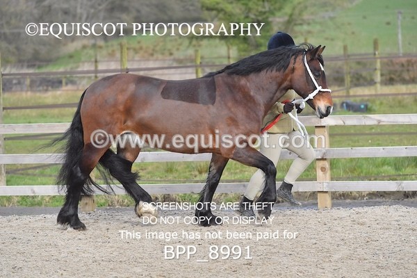 BPP_8991 - RING 2 - M&M