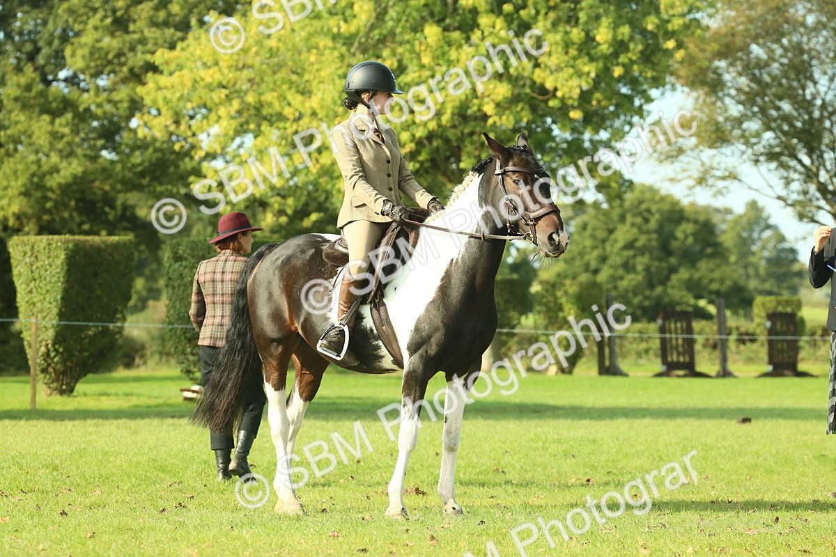 SBM_59908 - S38 - Starters Ridden Showing