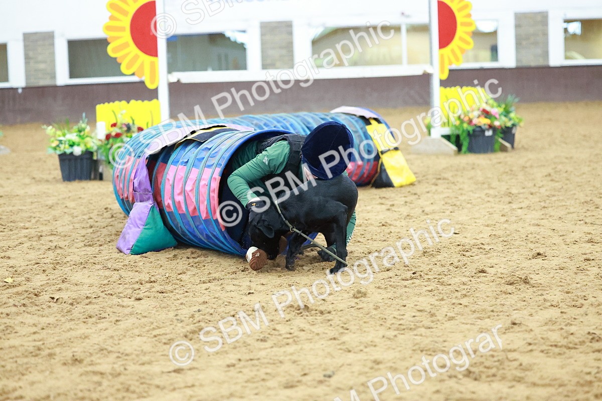 SBM_002392 - Class 3 - Horse & Hound (60cm)