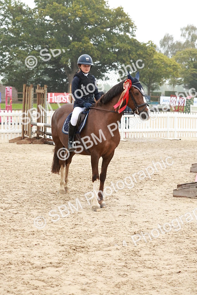 SBM_73596 - Supreme Championship Junior Pony 60cm & 65cm