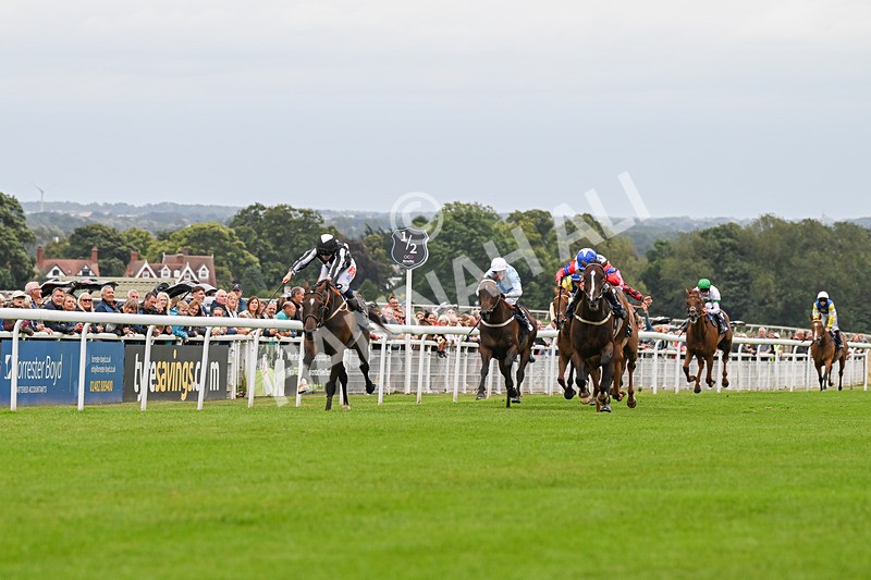 150824-Race 5-Pons Aelius-8261 - Race 5