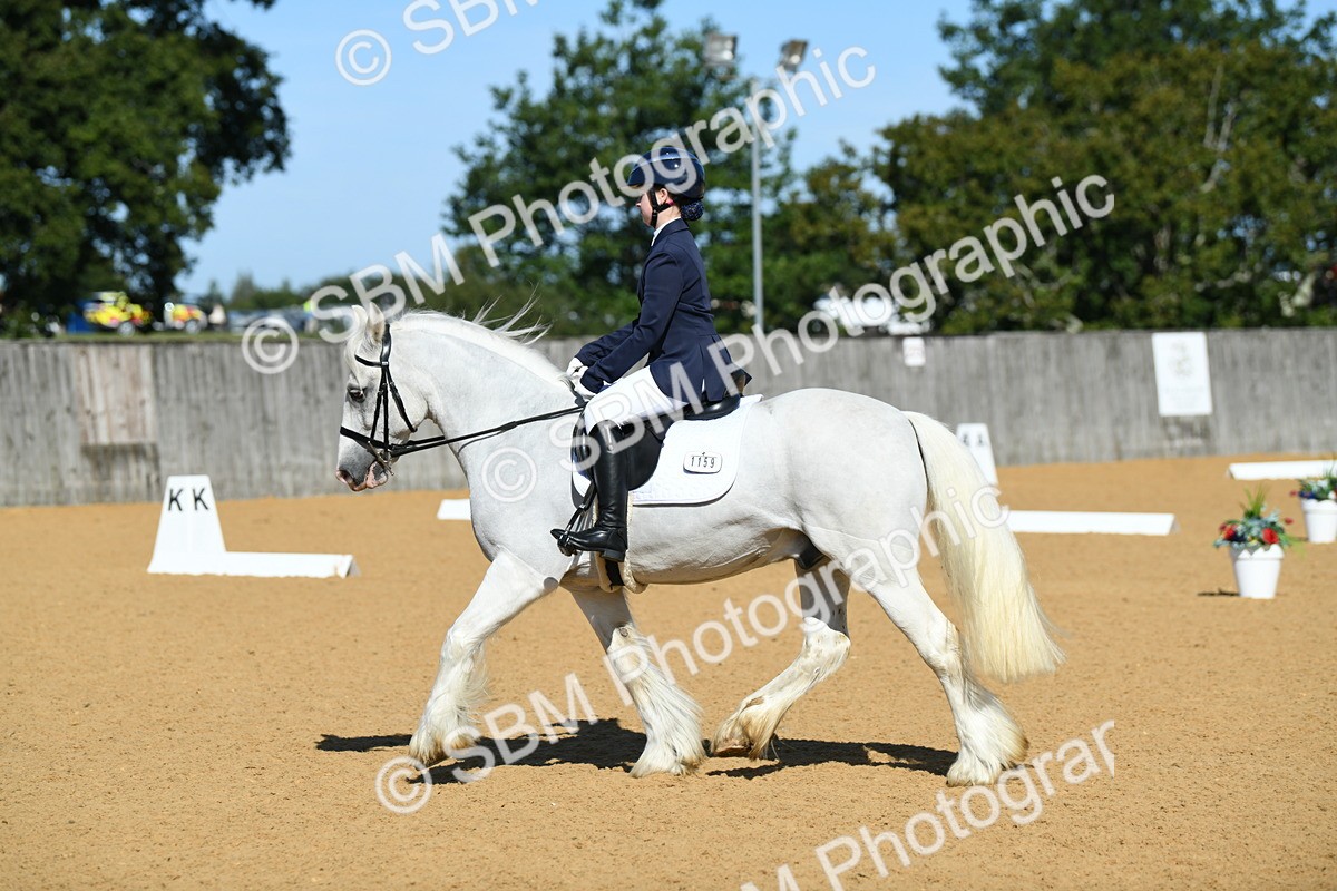 SBM_18115 - D4 - Small Tour Championship - Intro B