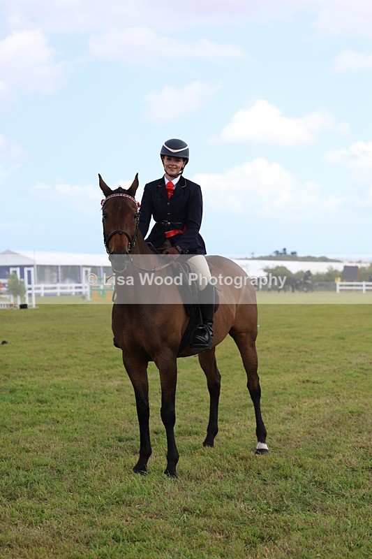 3E7A2400 - Class 11: Retraining of Racehorse