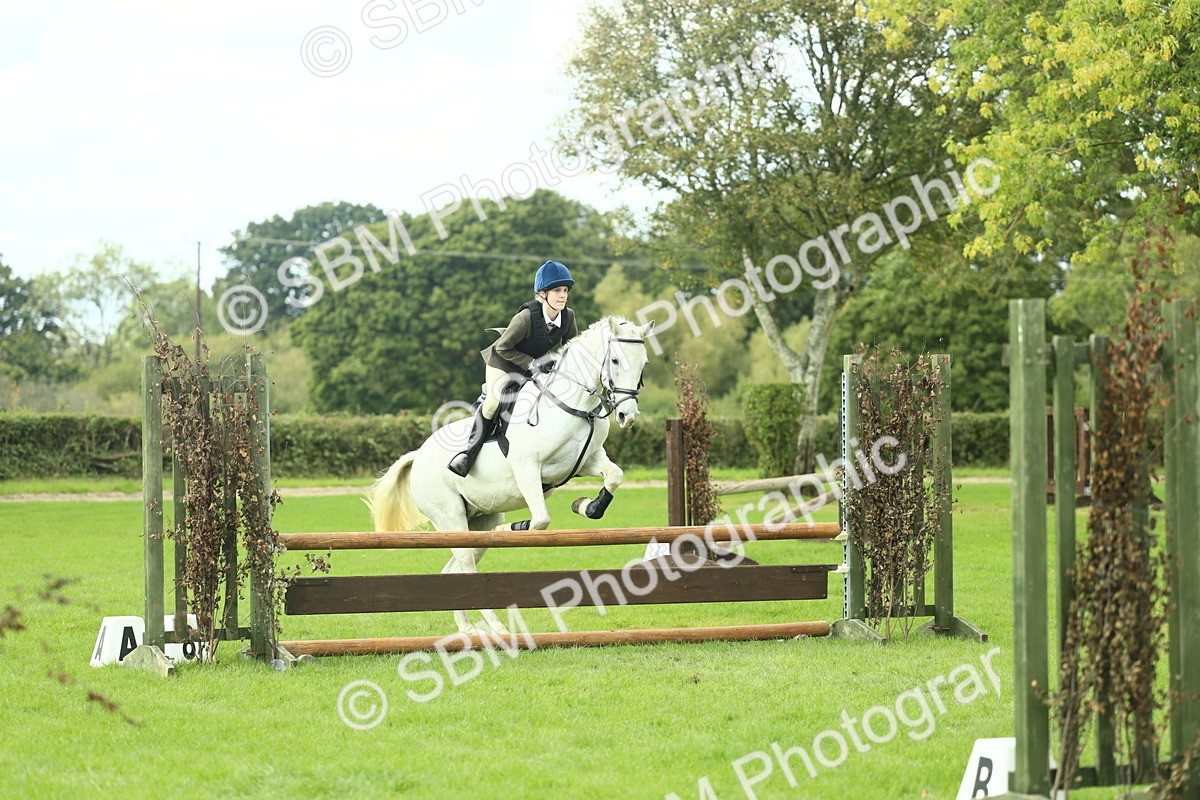 SBM_44729 - S31 - Working Hunter Pony