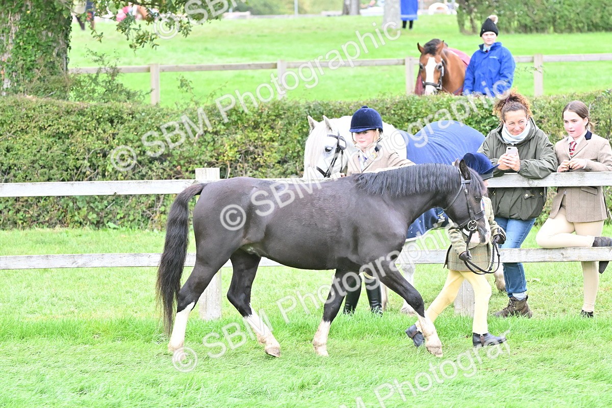 SBM_66771 - S41 - Junior Handler 8 Years & Under