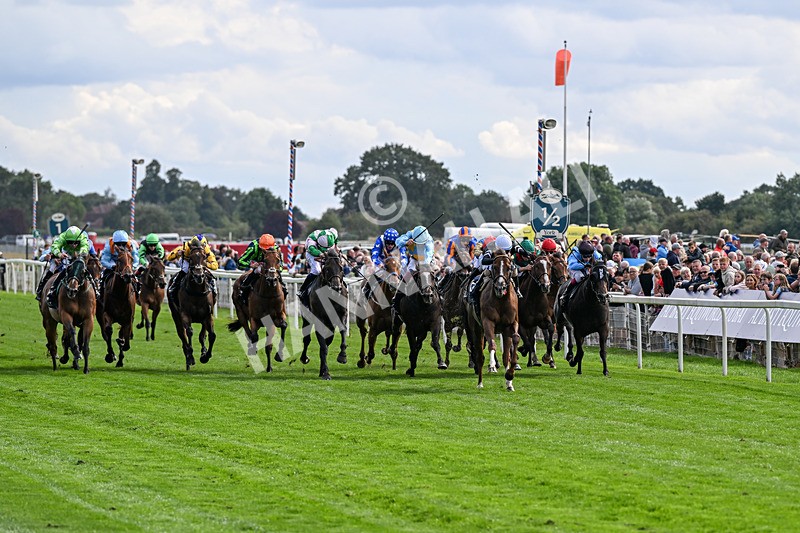 210826-Race 4-Bacio-6165 - Race 4 15.35pm Coolmore City Of Troy Nunthorpe Stakes