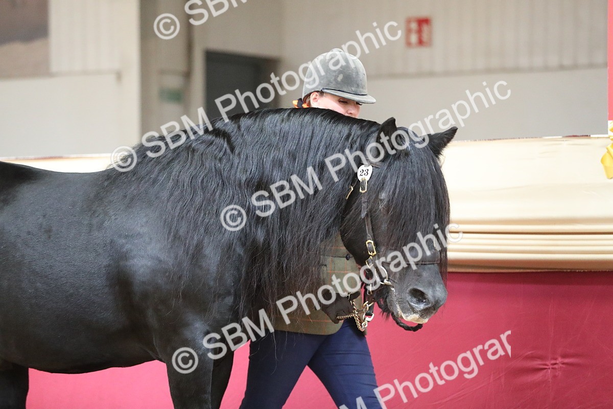 SBM_04911 - Class 8R- Regional -IH Veteran