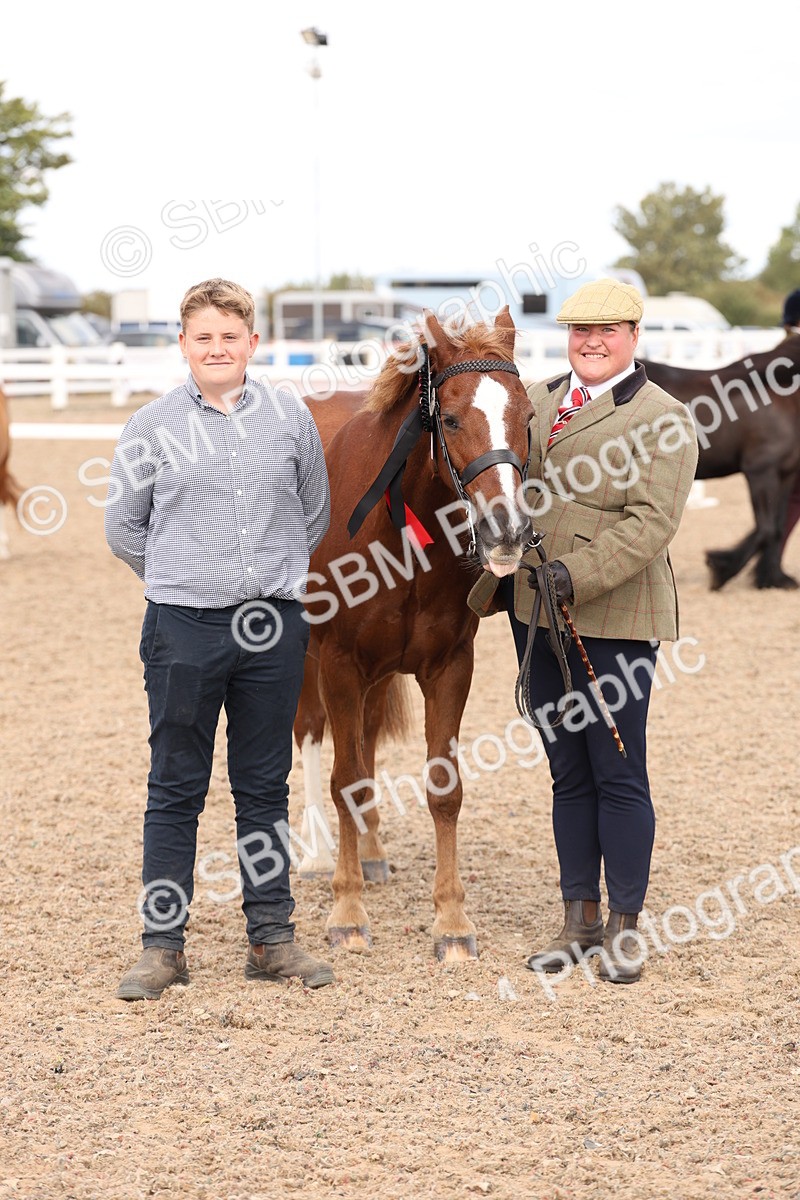 SBM_15140 - Class 209 - IH Veteran Pony