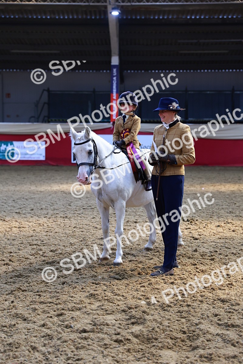 SBM_12795 - HOYS Veteran Qualifier - Ridden Champ