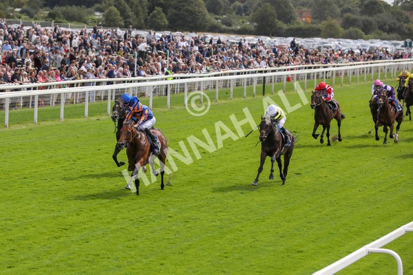 210824-Race 2-The Lion In Winter-7208 - Race 2 2.25pm Tattersalls Acomb Stakes