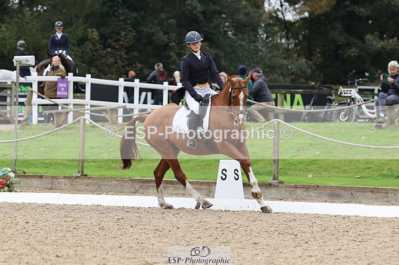 241024-141830-03817 - 160-Gaby.Bull-MILESTONE.GOLD