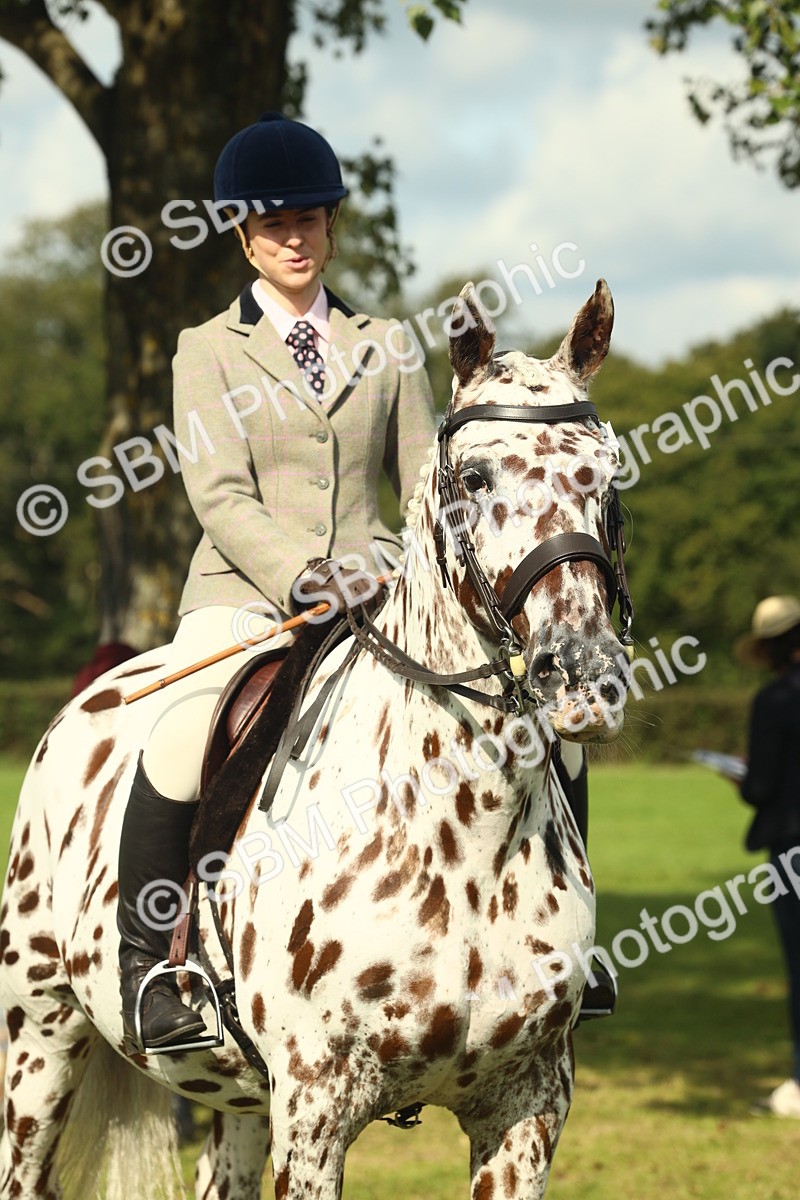 SBM_62516 - S62 - Foreign Breeds Ridden