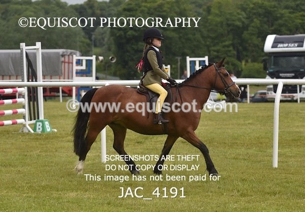 JAC_4191 - WORKING HUNTER CHAMPIONSHIP