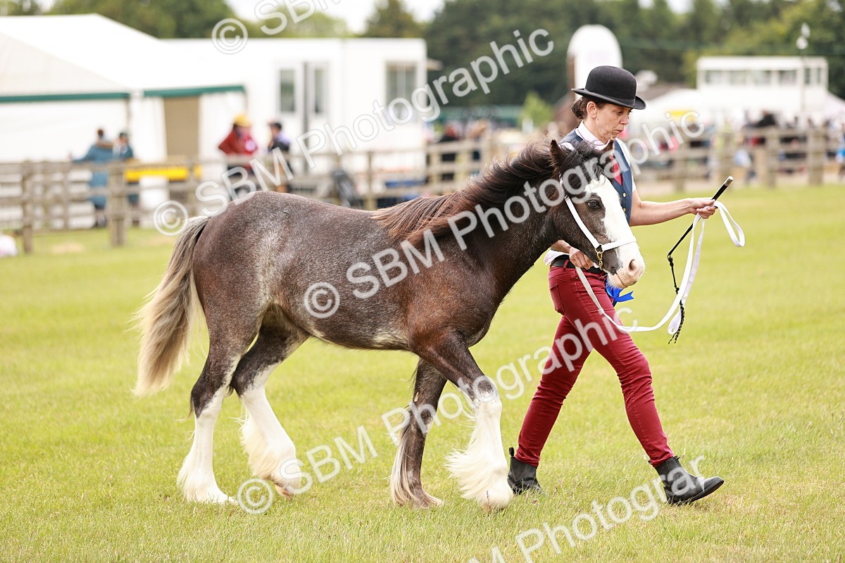 SBM_04715 - Class 5-8 - BSPA In hand