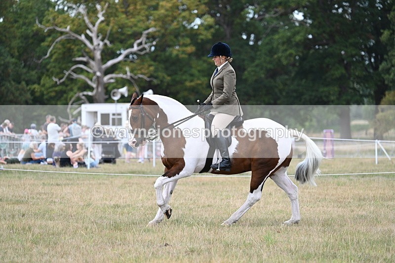 WJ7_5070 - Class 12 Ridden Cob