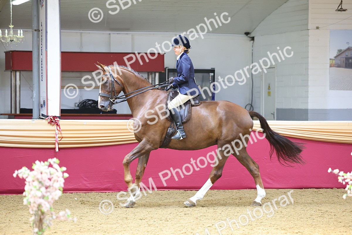 SBM_24655 - Class 906 - Supreme Final - Ridden Pre Vet
