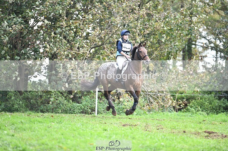 231021-145957-19832 - 482-ODDSPOT.VITAL.ELEMENT-Danielle.Davies-SC+XC