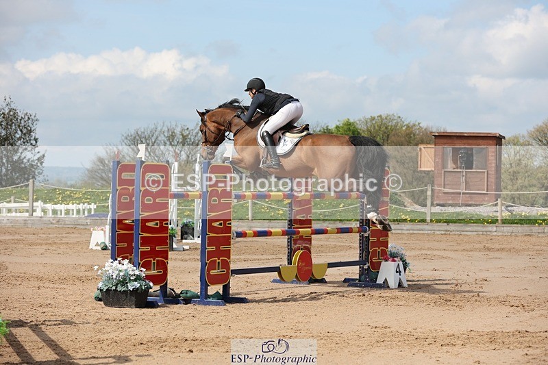 250427-110922-15829 - Cls 36 Young Horse 7yr old