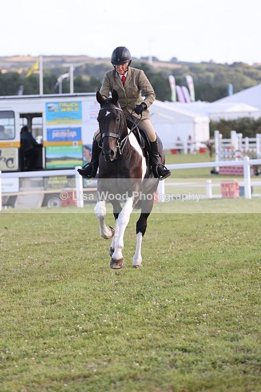 JPP_3530 - Class 22: Working Hunter 90cm