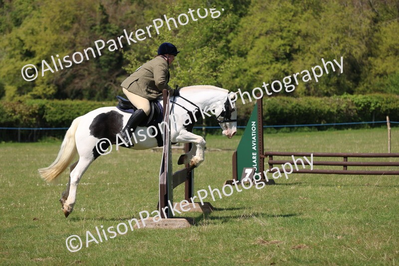20250427-2574 - Class 20 - Working Hunter Ponies
