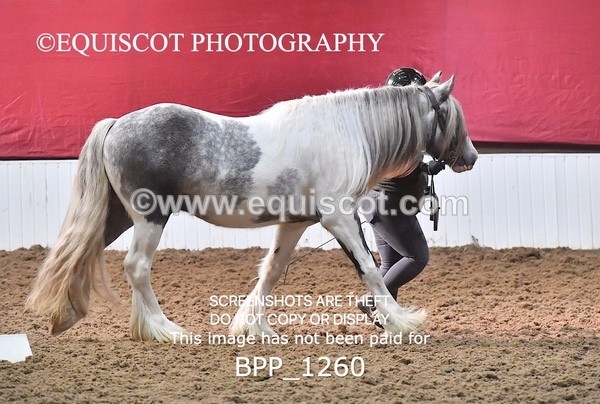 BPP_1260 - MORNING 9AM - 12PM