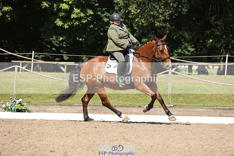 240719-105346-00809 - 169-Marion_Eaves-Indigo_Queen_of_Hearts