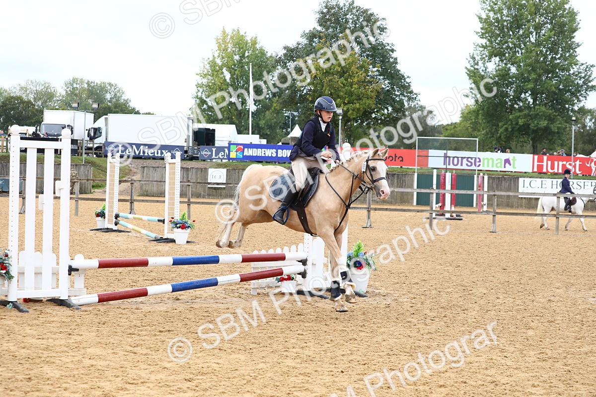 SBM_60034 - J63 - Junior Pony 50cm Championship