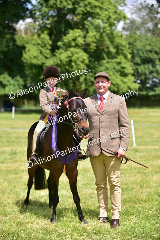 20260614-1416 - Class 11b - Lead Rein Pony (Plaited)