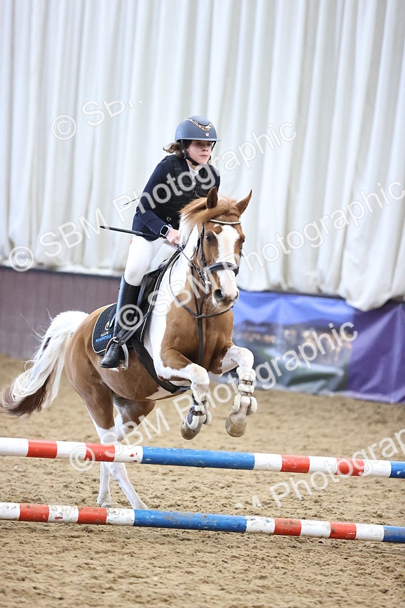 SBM_001561 - Class 3 - Horse & Hound 60cm