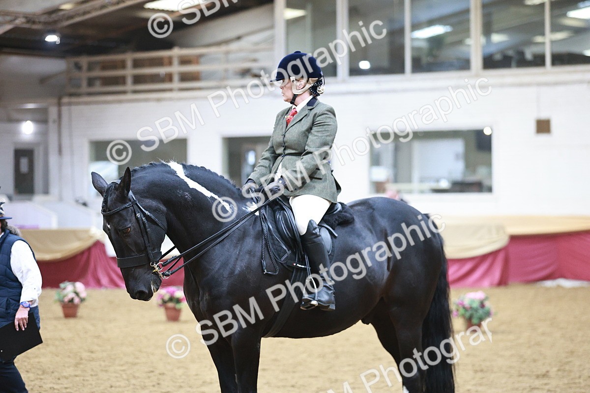 SBM_08969 - Class 12R - Regional Ridden Pre-Vet