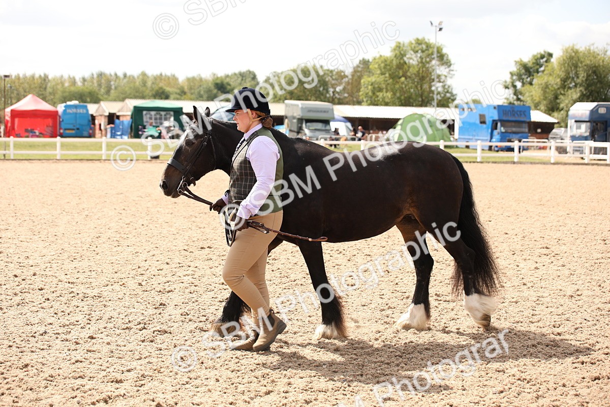 SBM_04624 - Class 20 IH Veteran