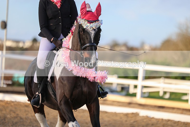 3E7A4802 - Class 5: Novice