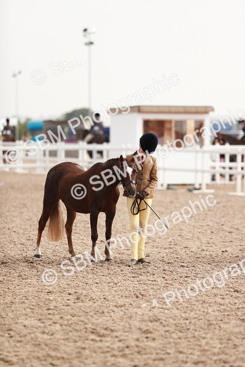 SBM_10555